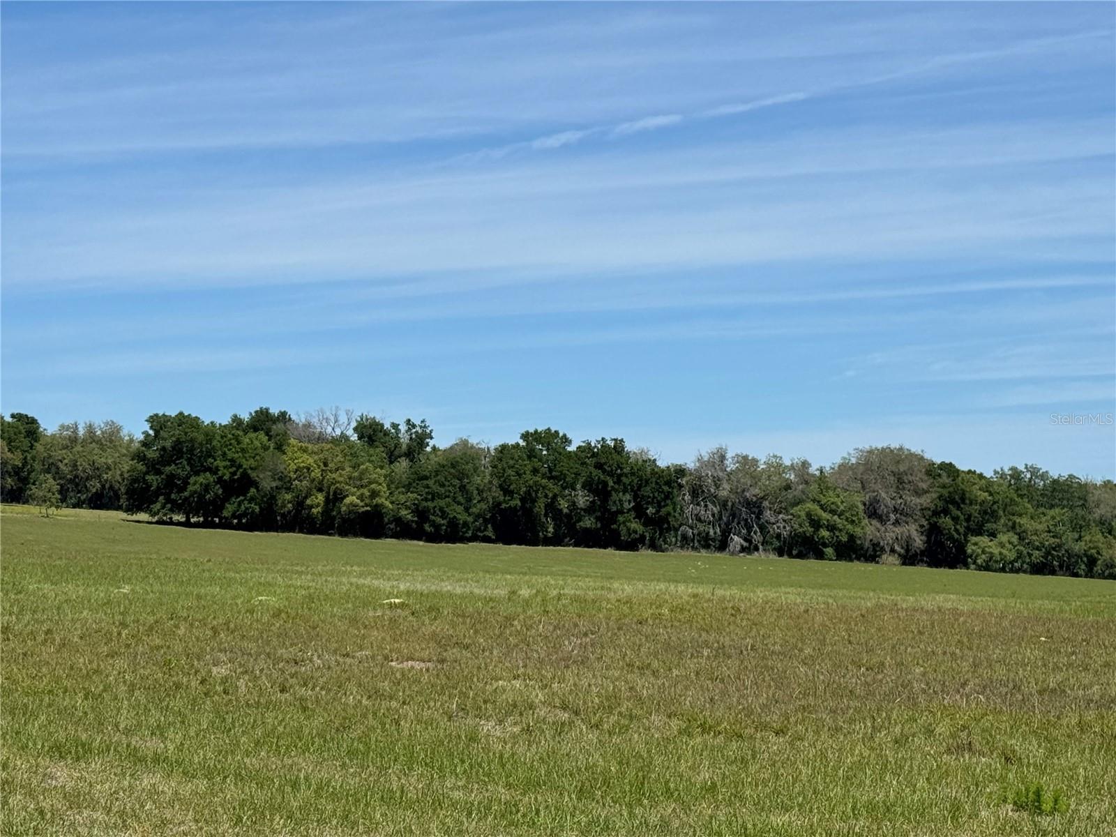 Image 3 of 11 For 4401 Griffin View Drive