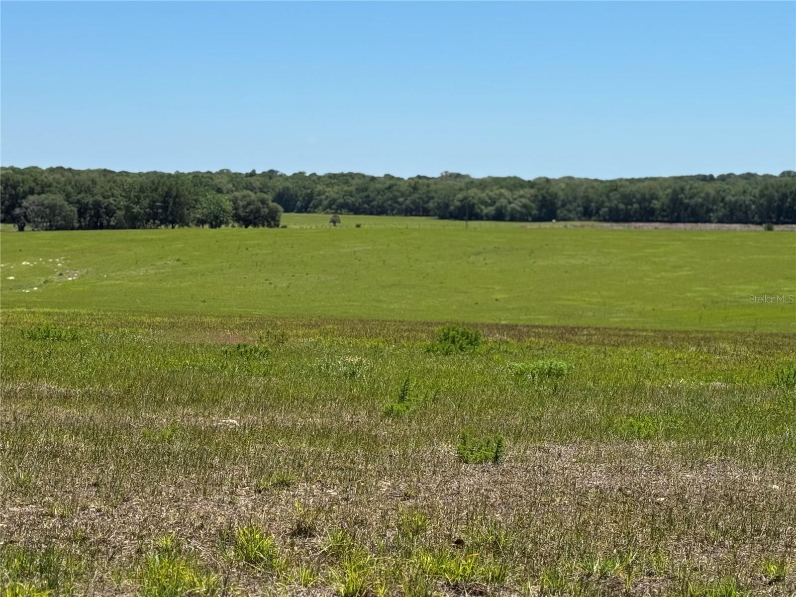 Image 4 of 11 For 4401 Griffin View Drive