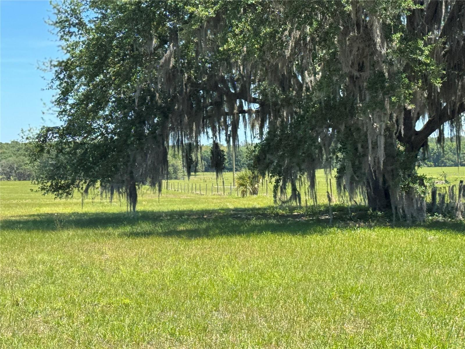 Image 6 of 11 For 4401 Griffin View Drive