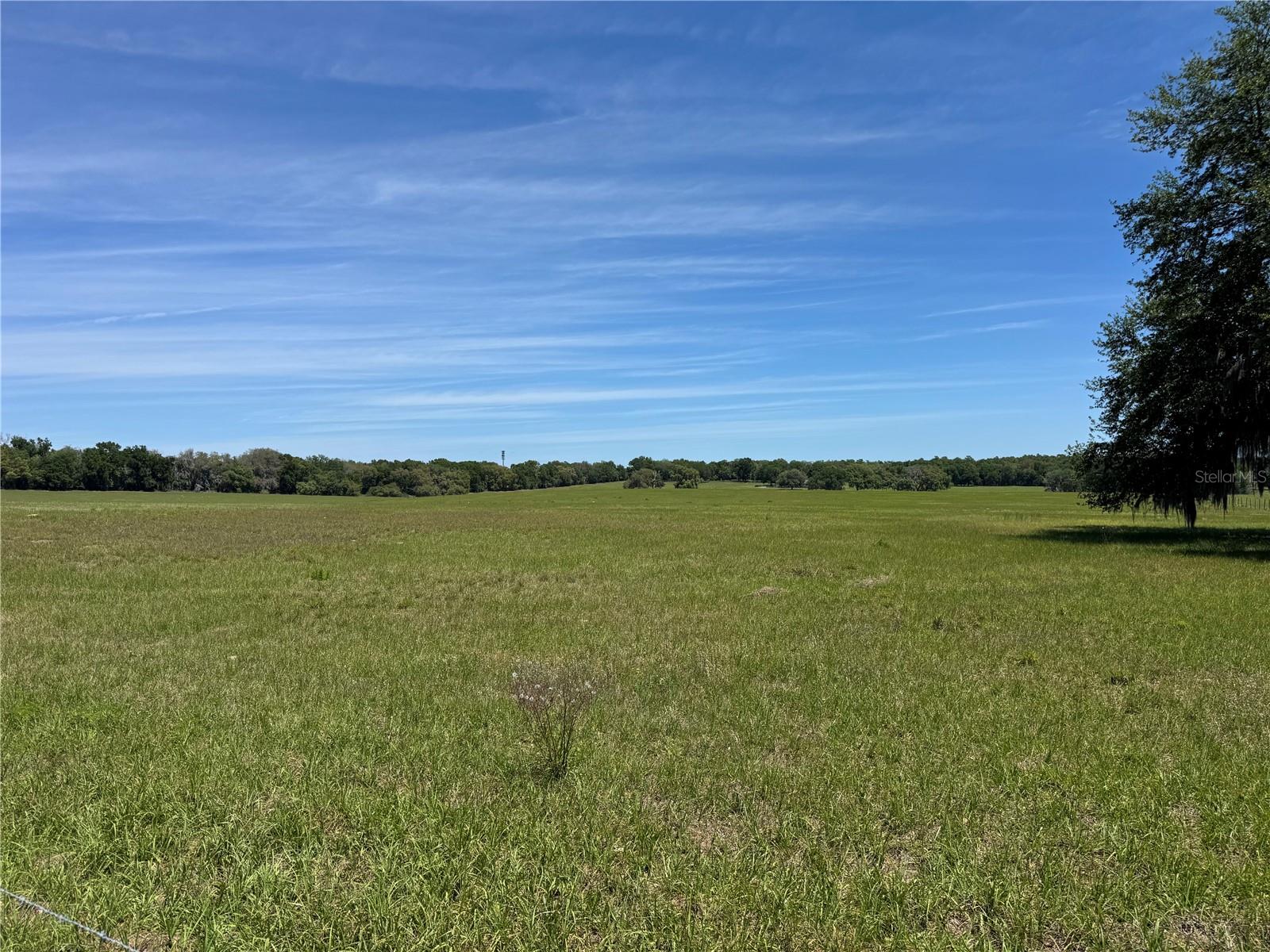 Image 9 of 11 For 4401 Griffin View Drive