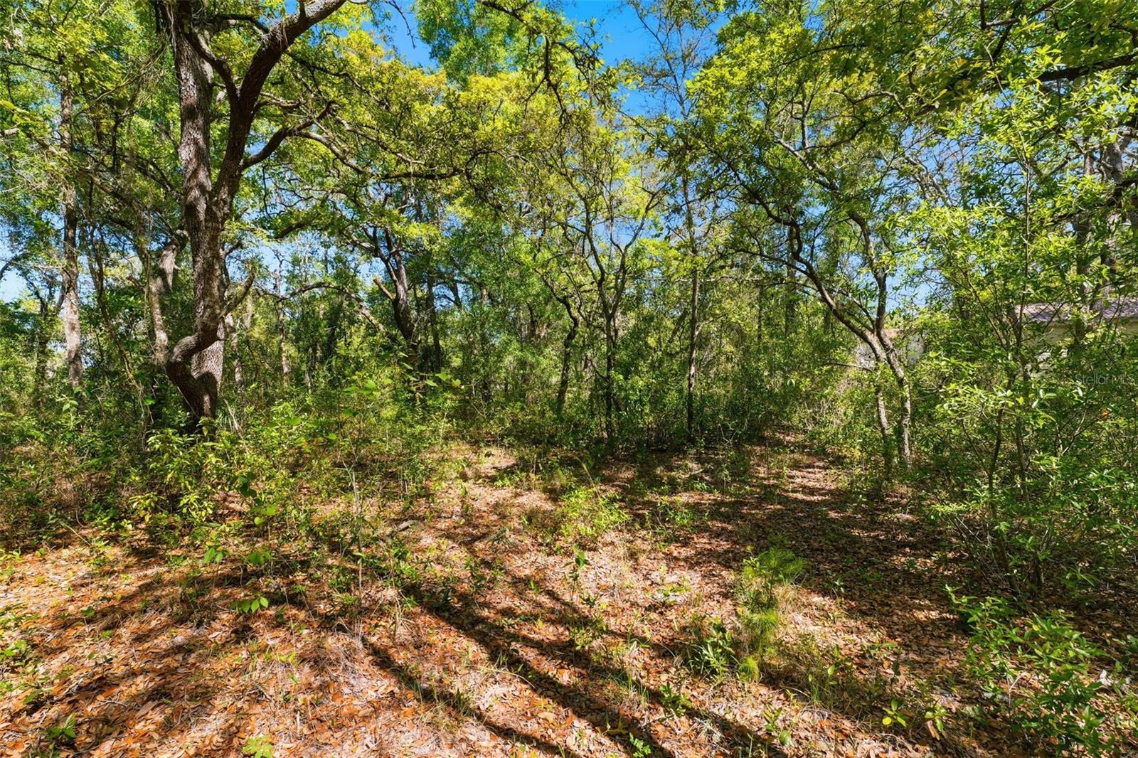 Image 13 of 13 For 0 Coyote Road