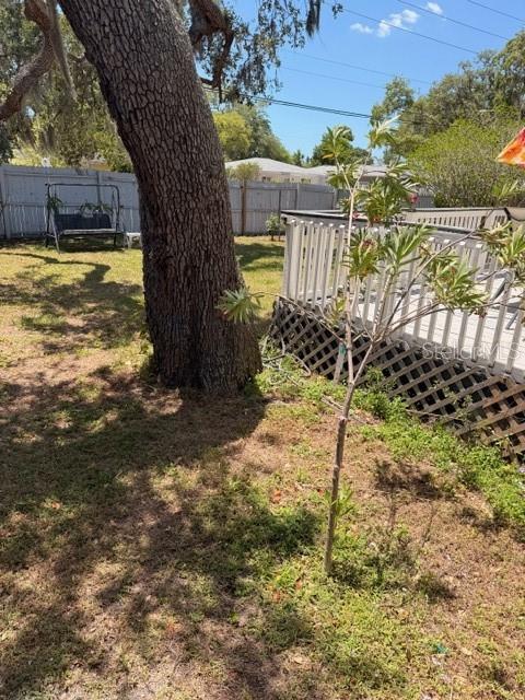 Image 30 of 33 For 519 Norfolk Street