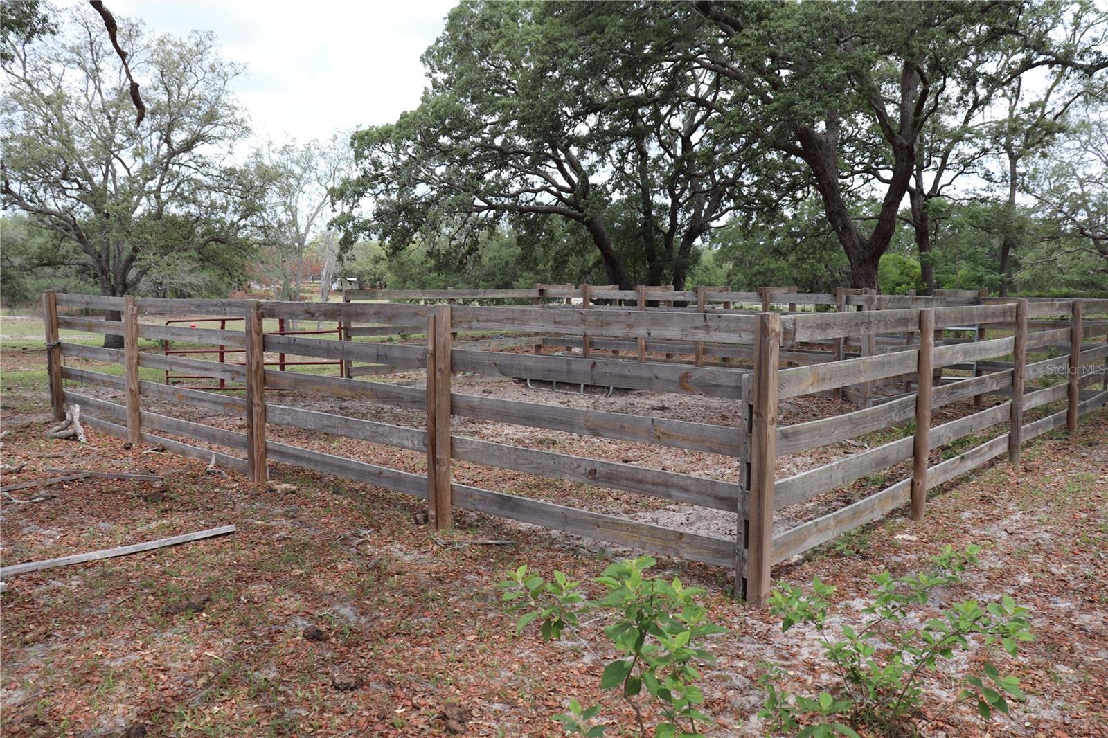 Image 16 of 42 For 14405 Amy Lane