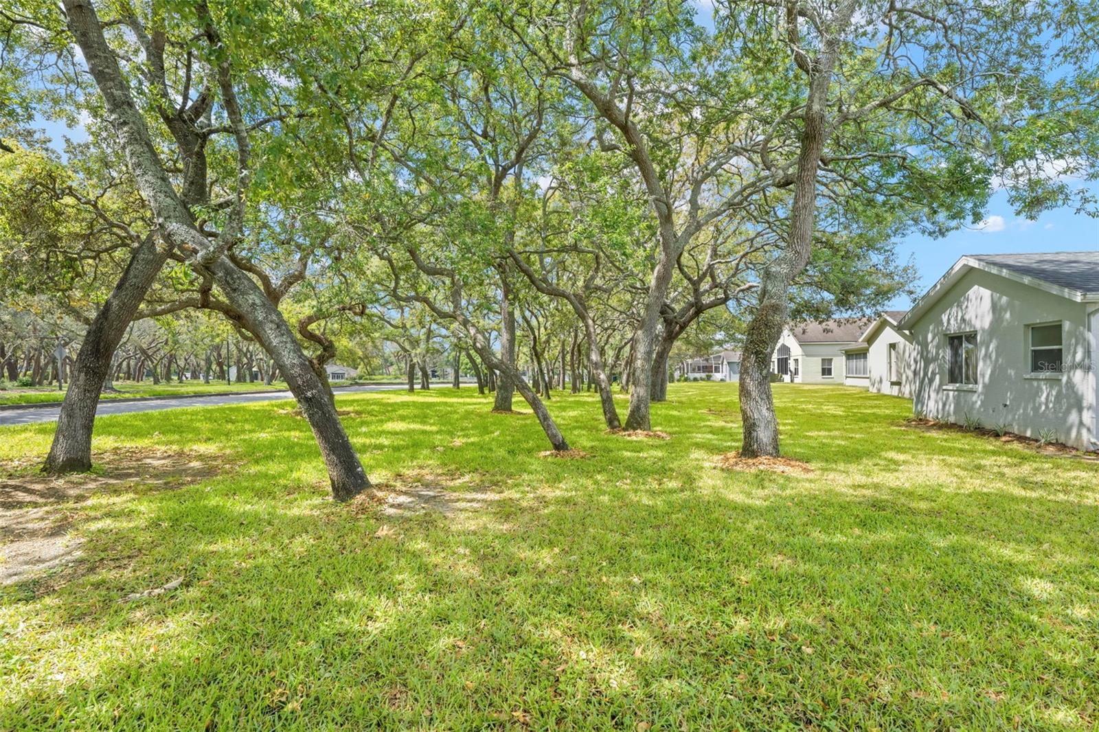 Image 52 of 56 For 432 Mistwood Court