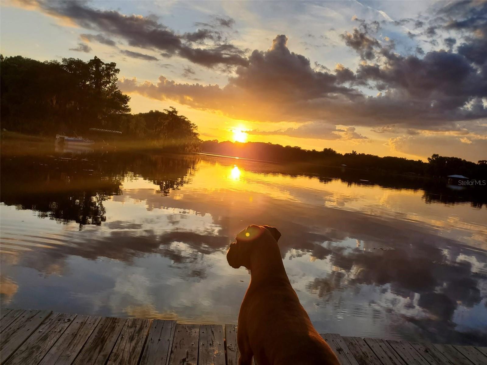 Image 2 of 73 For 6670 Merleing Loop