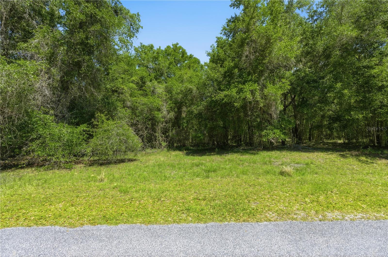 Image 3 of 13 For 0 Dark Star Trail