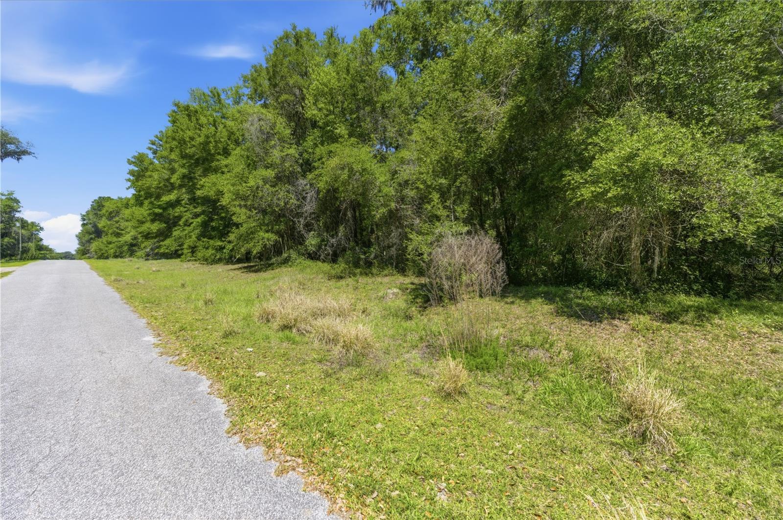 Image 4 of 13 For 0 Dark Star Trail