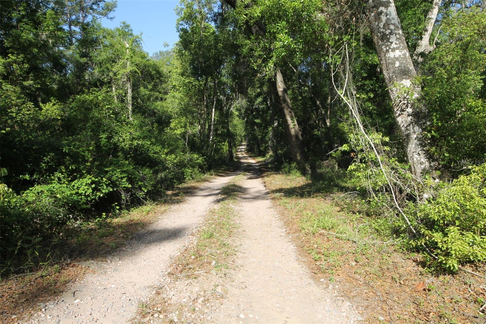 Image 2 of 4 For 0 Lager Street