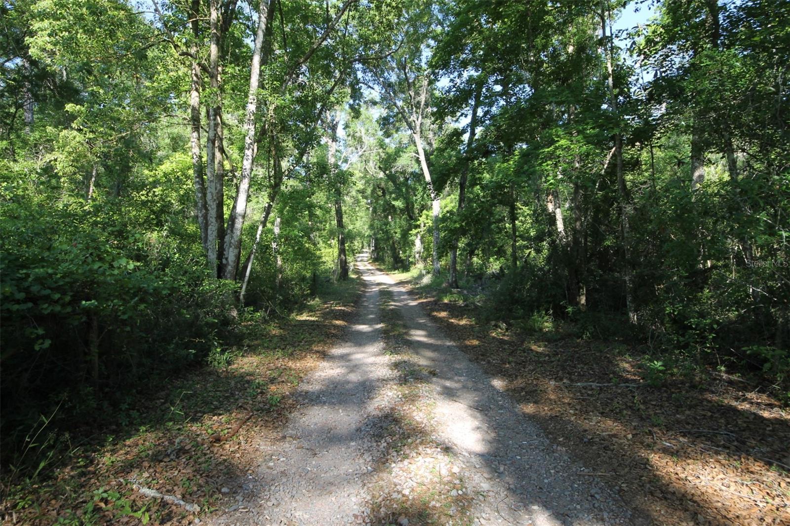 Image 3 of 4 For 0 Lager Street