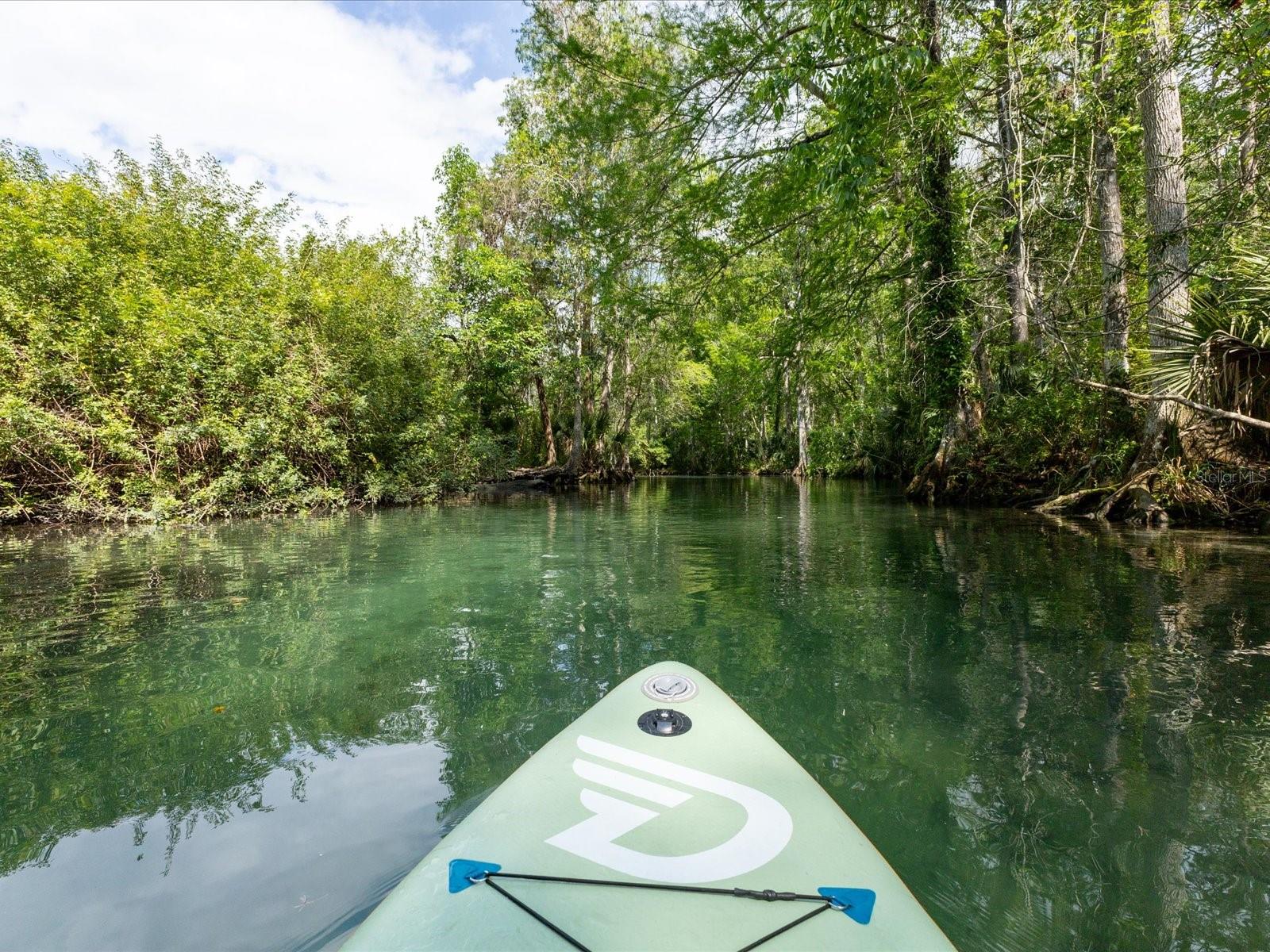 Image 94 of 94 For 11981 Robina Road
