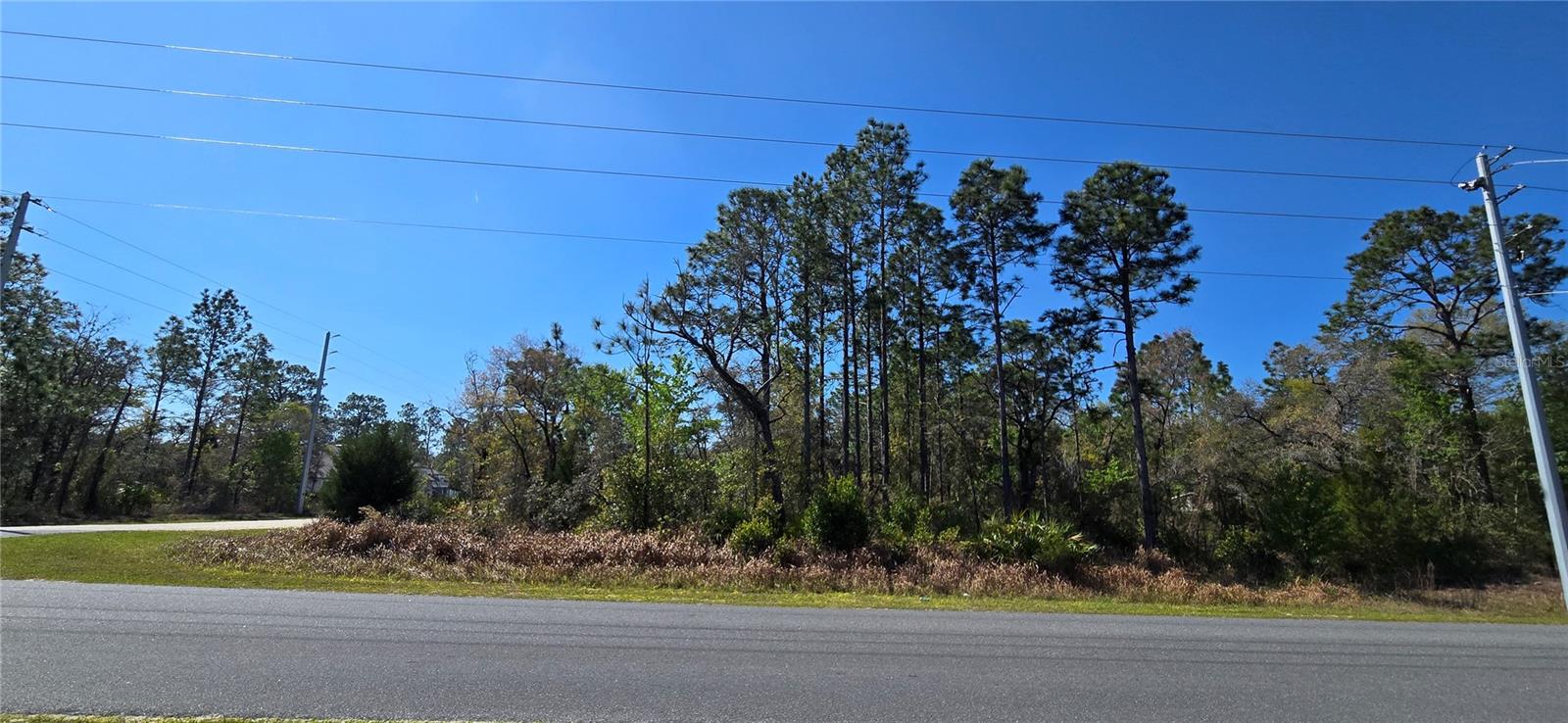 Details for 12398 Ruffed Grouse Road, WEEKI WACHEE, FL 34614