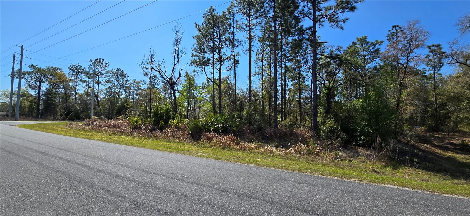 Image 4 of 5 For 12398 Ruffed Grouse Road