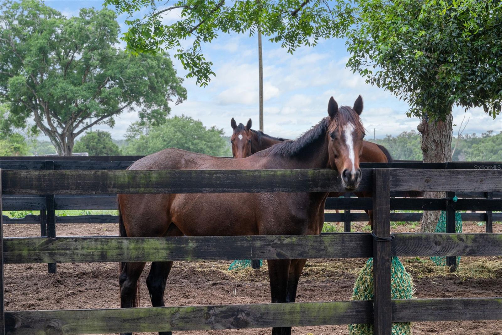 Image 49 of 85 For 8606 Boyt Road