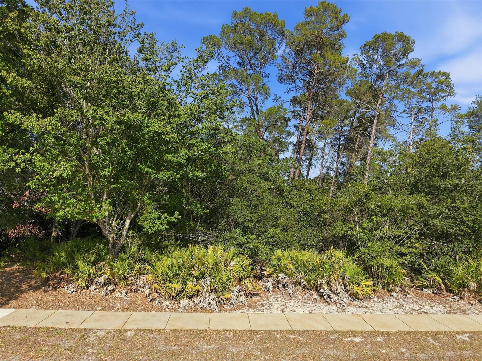 Image 23 of 26 For 6134 Waters Way