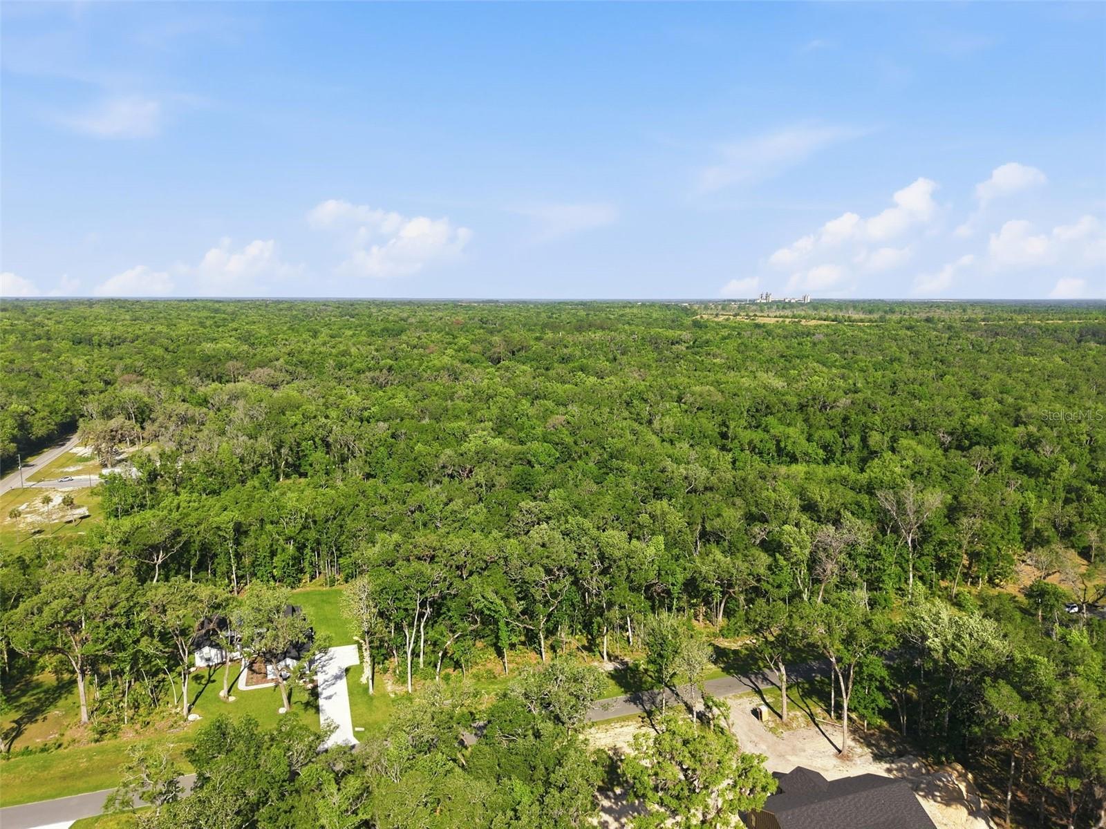 Listing photo id 9 for Republican Way