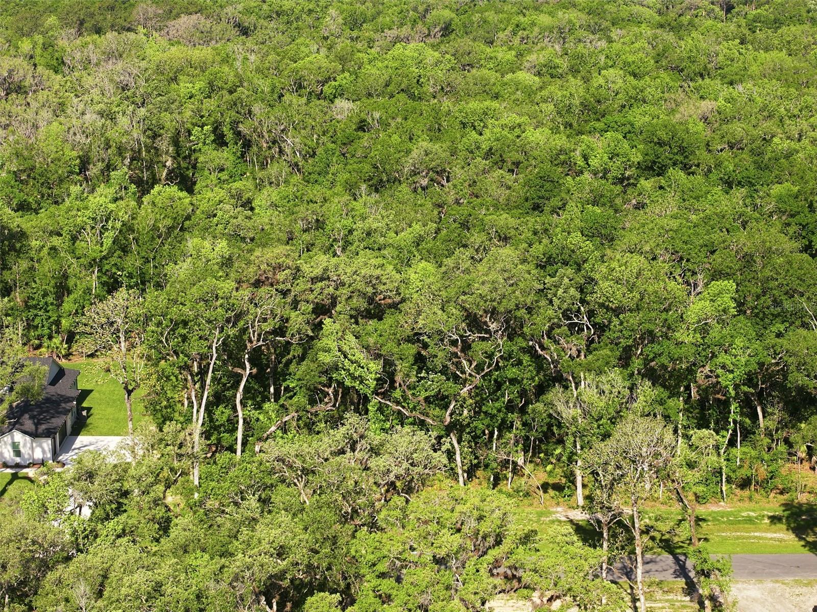 Listing photo id 12 for Republican Way