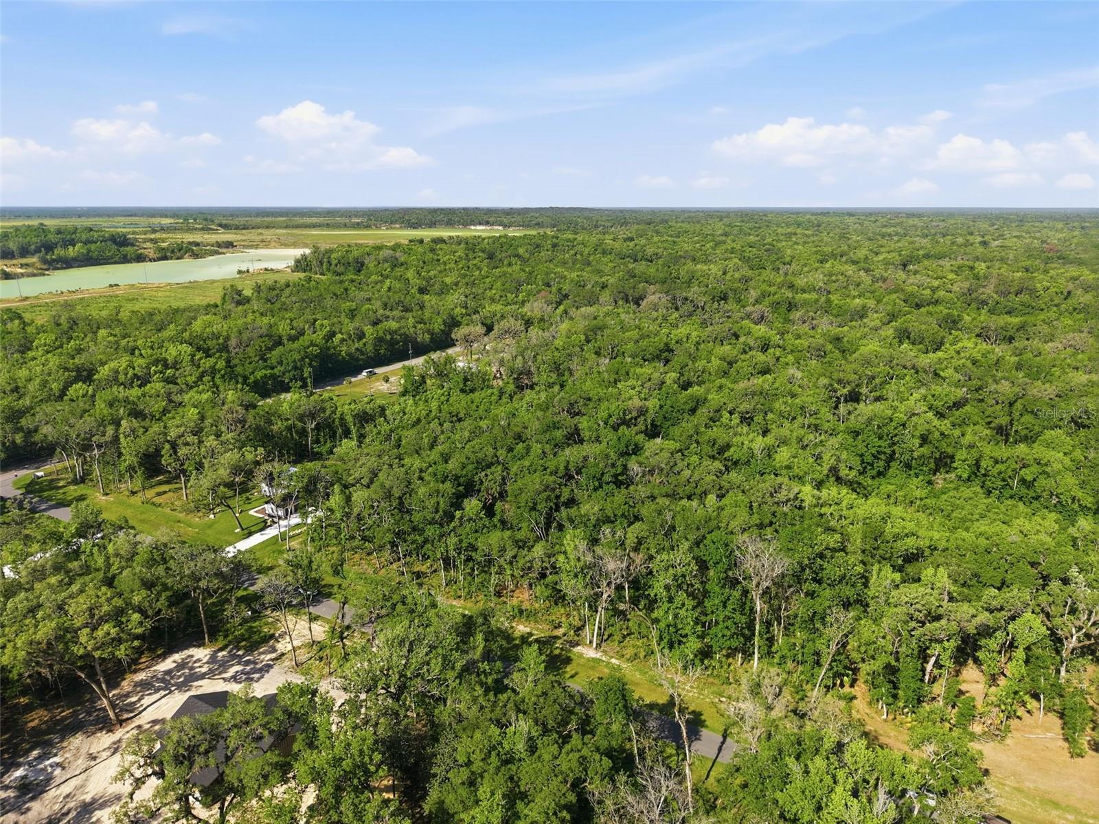 Listing photo id 13 for Republican Way