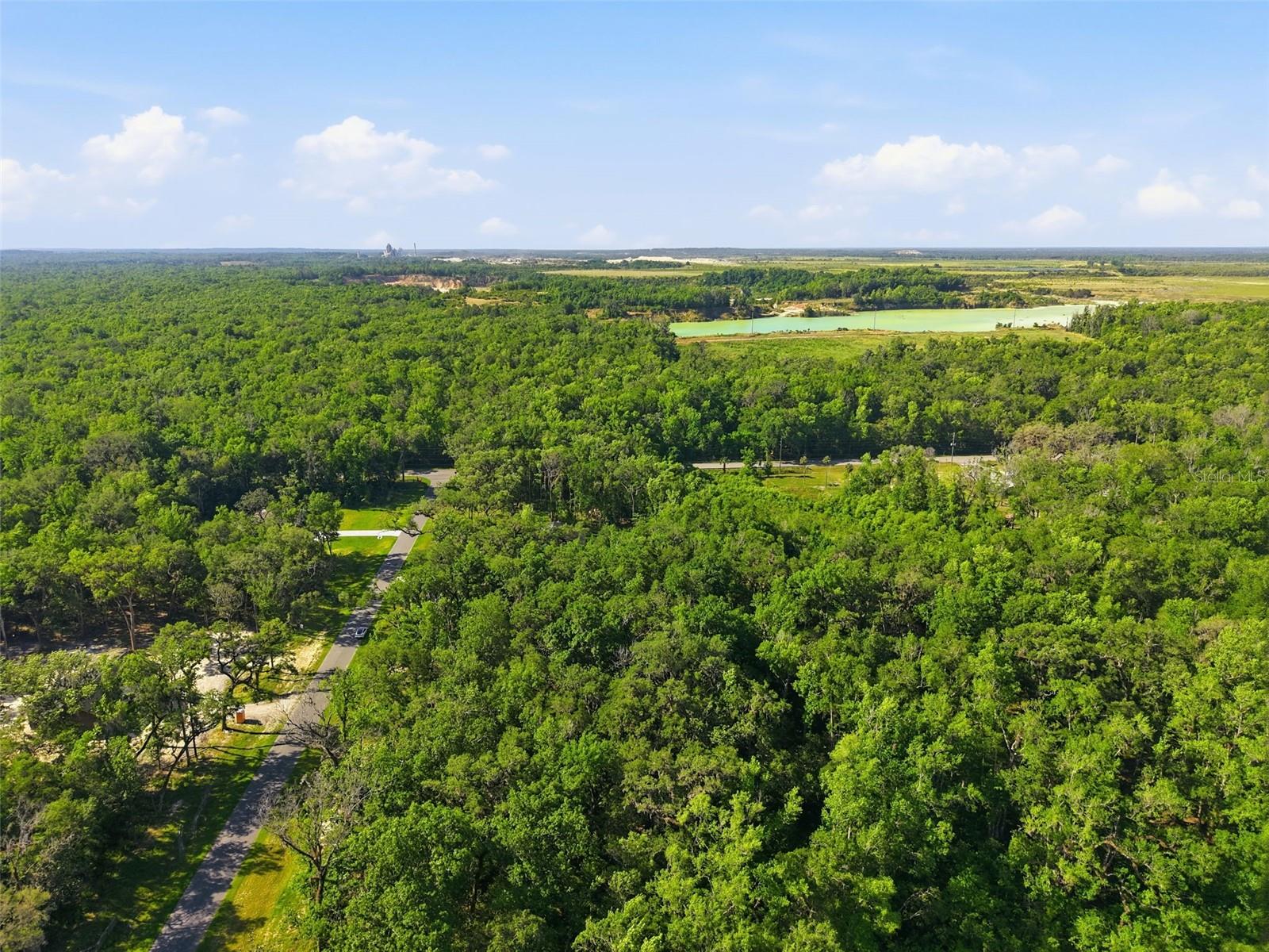 Listing photo id 14 for Republican Way