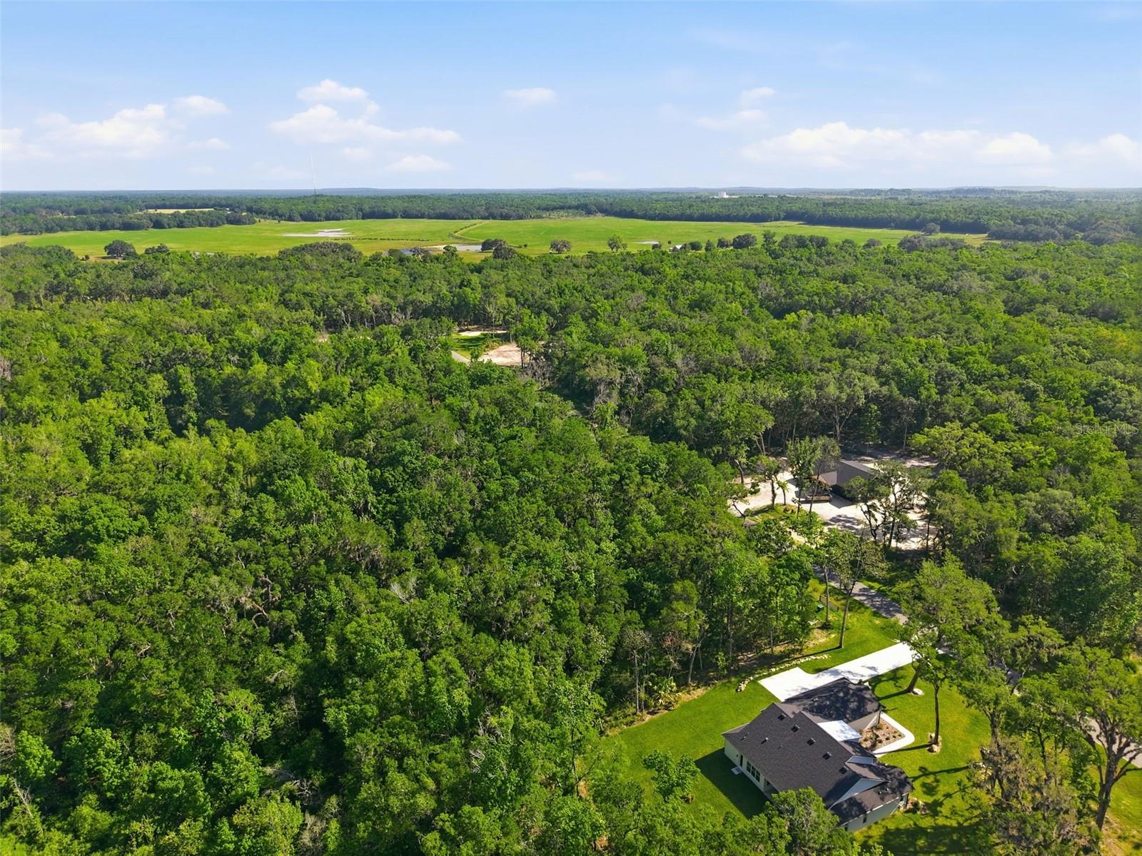 Listing photo id 17 for Republican Way