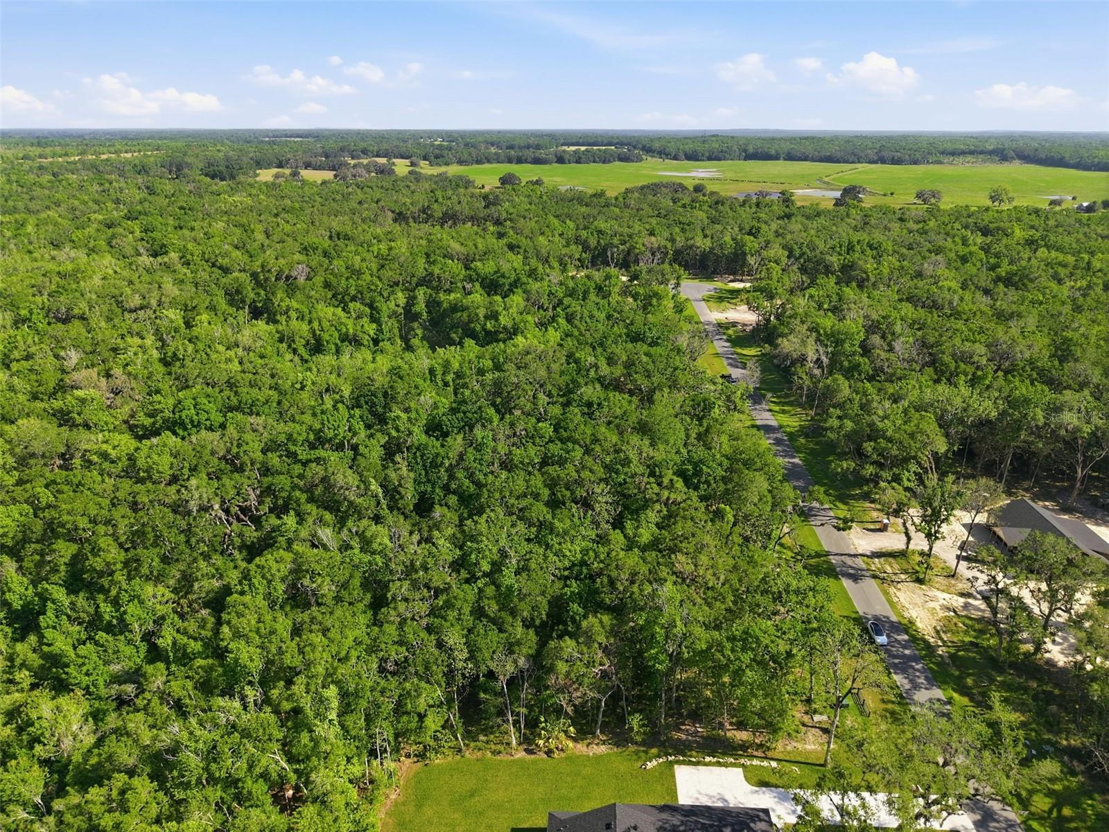 Listing photo id 18 for Republican Way