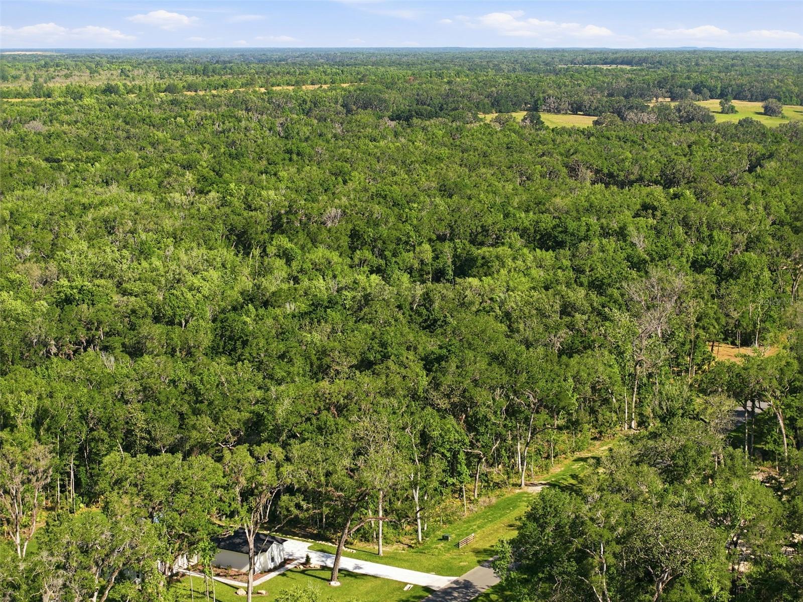 Listing photo id 20 for Republican Way