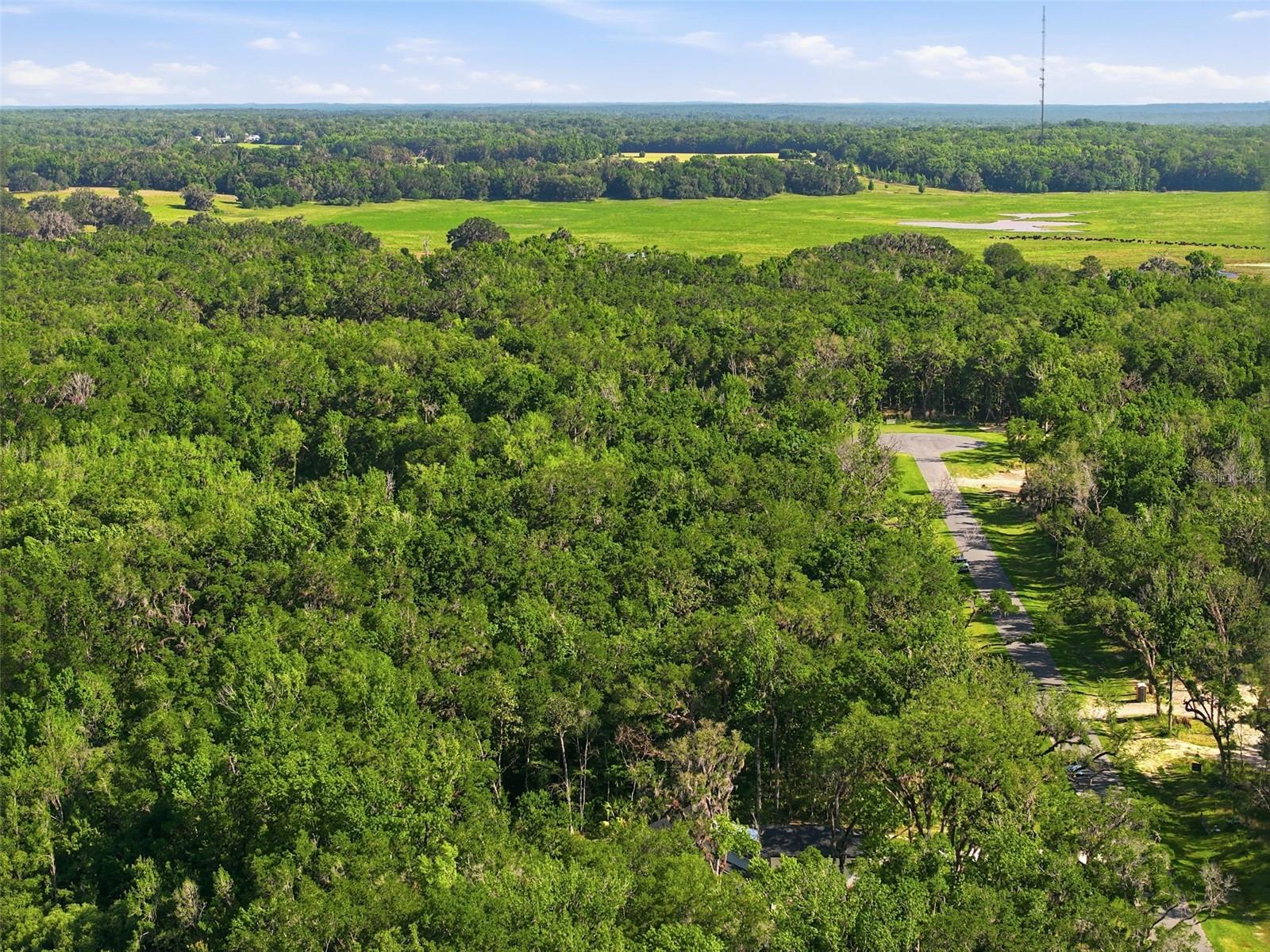 Listing photo id 21 for Republican Way