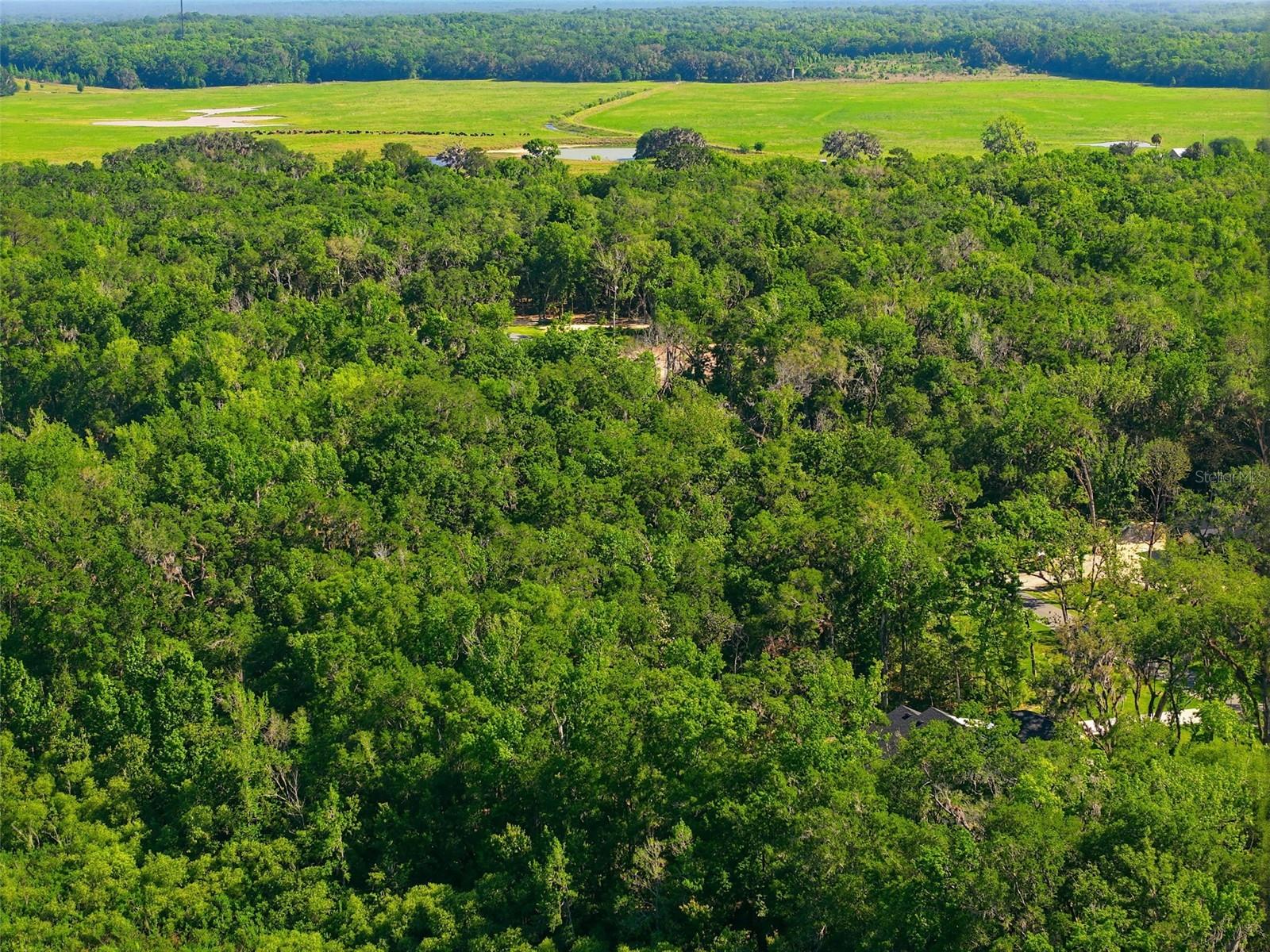 Listing photo id 22 for Republican Way