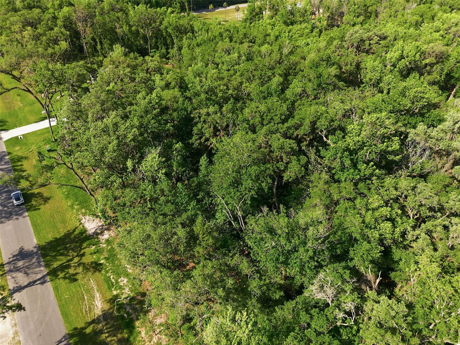 Listing photo id 24 for Republican Way