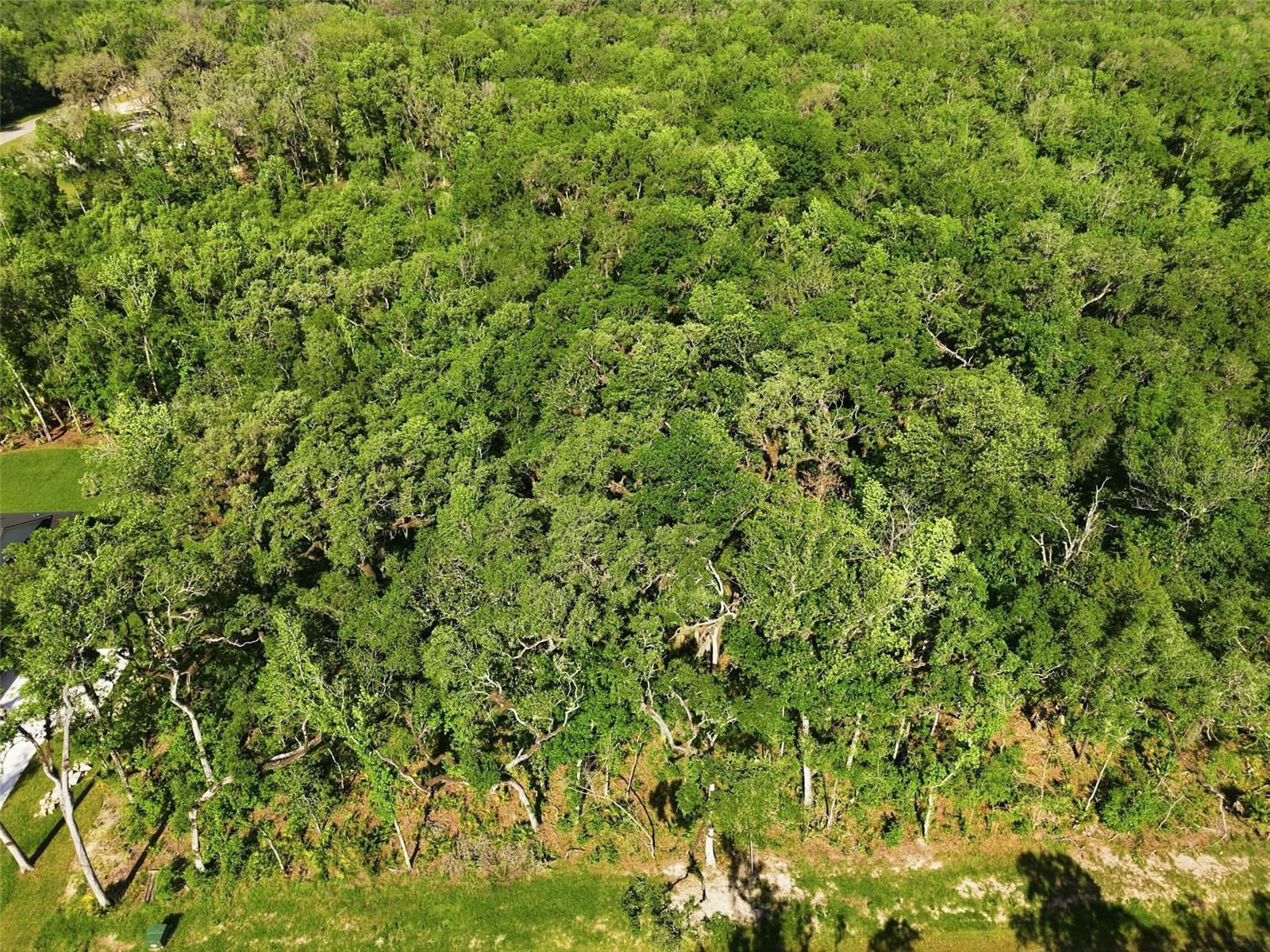 Listing photo id 25 for Republican Way