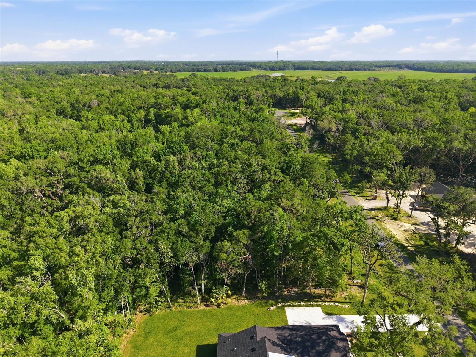 Listing photo id 2 for Republican Way