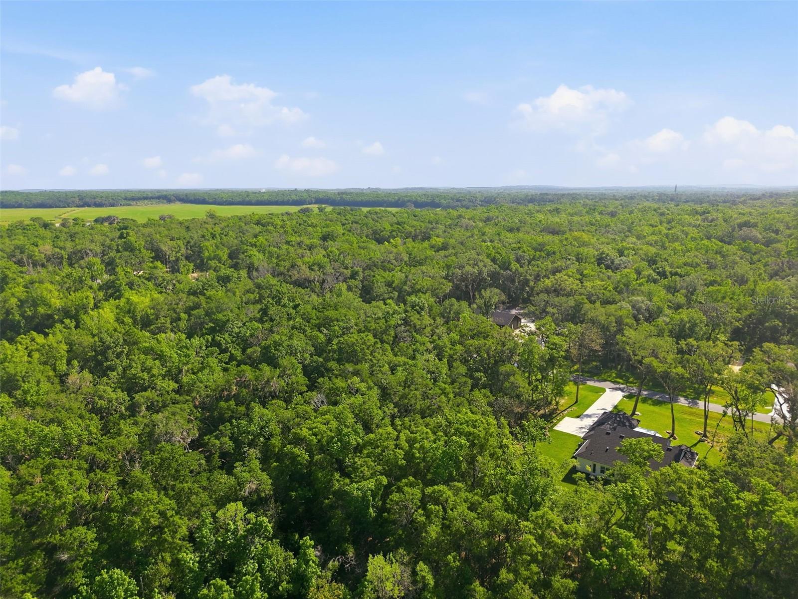 Listing photo id 3 for Republican Way