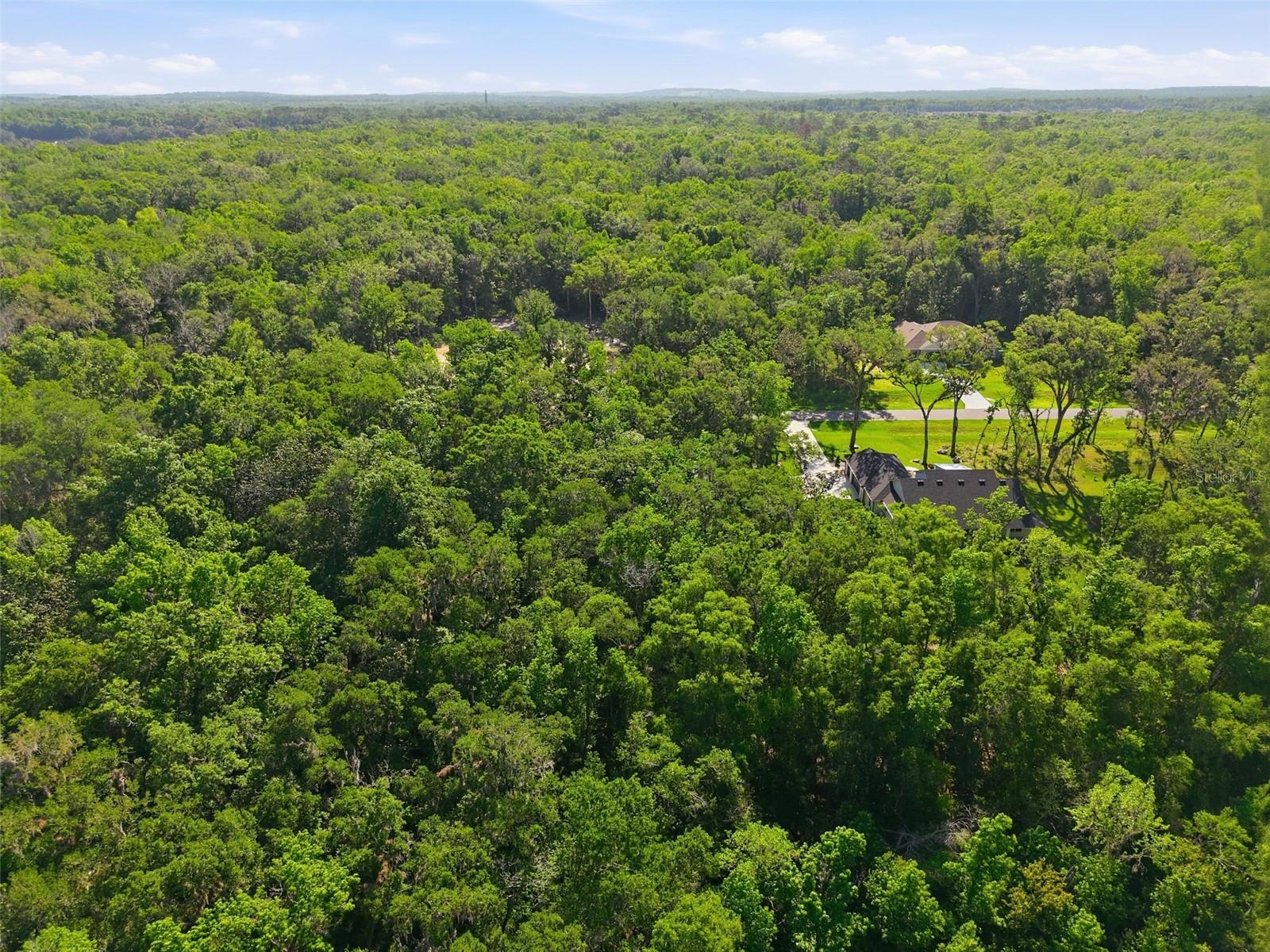 Listing photo id 4 for Republican Way