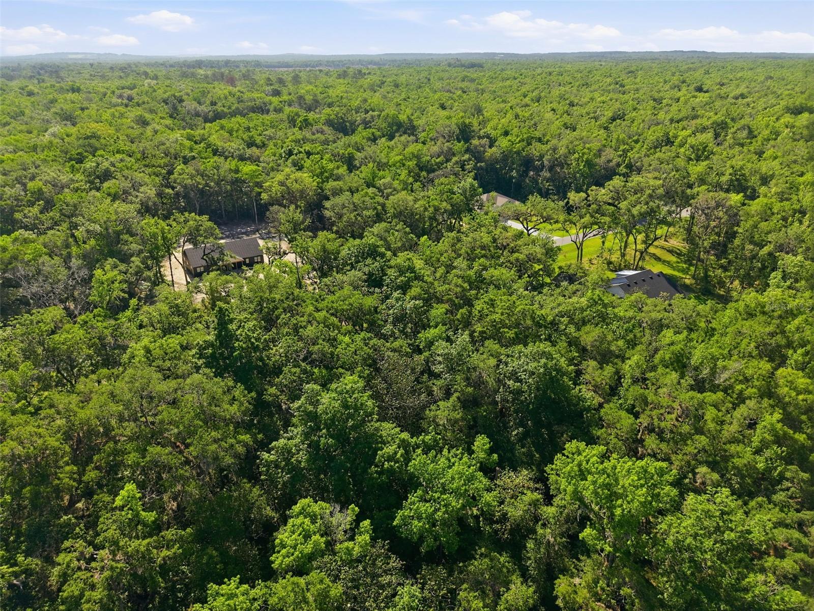 Listing photo id 5 for Republican Way