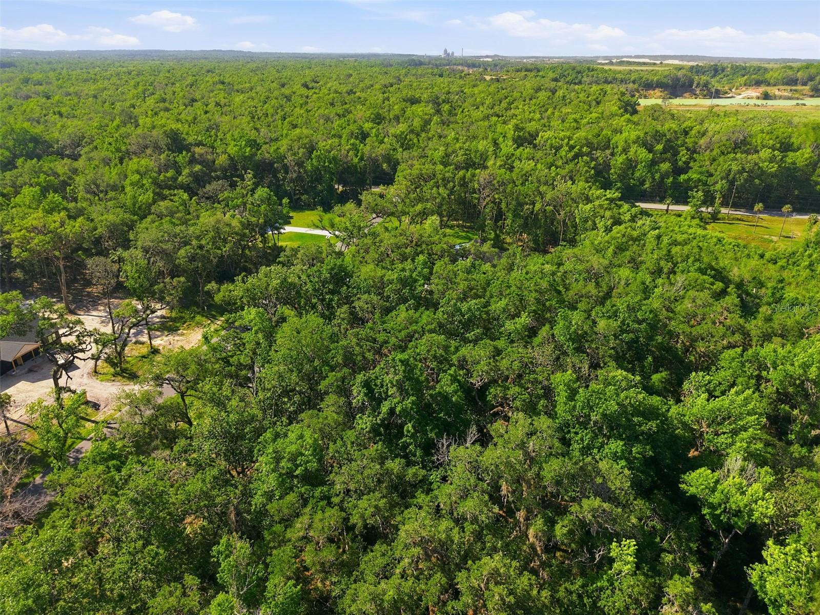 Listing photo id 6 for Republican Way