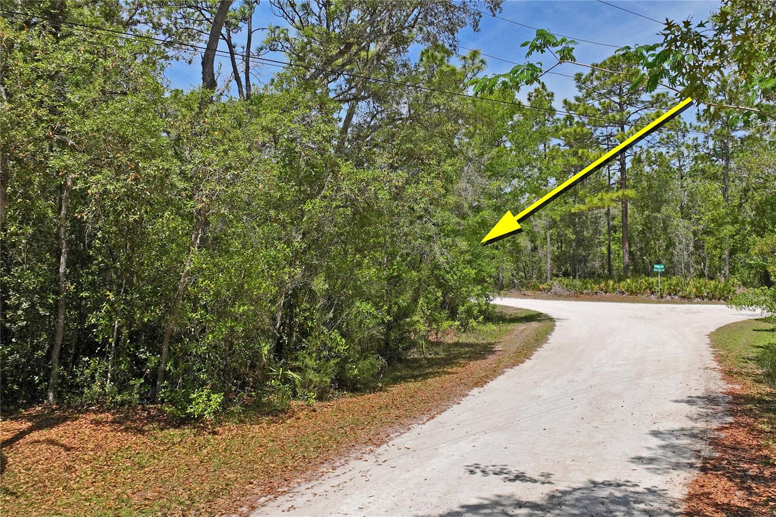 Image 17 of 18 For 0 Yellowstone Avenue