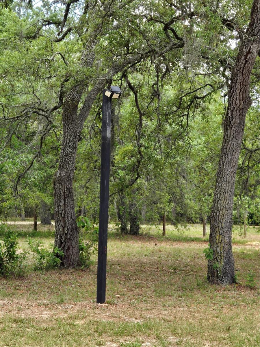 Image 25 of 69 For Address Not Provided