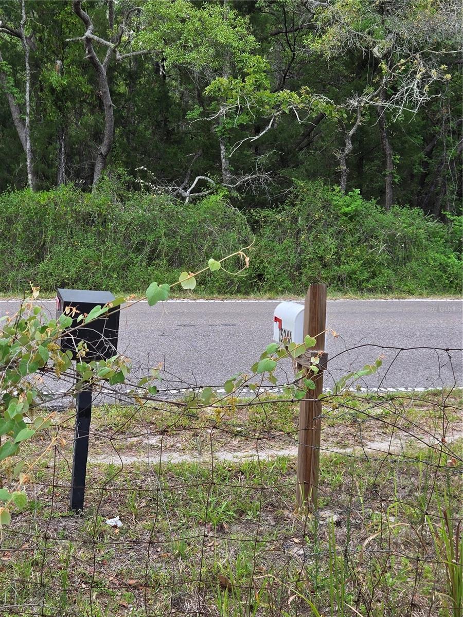 Image 28 of 69 For Address Not Provided