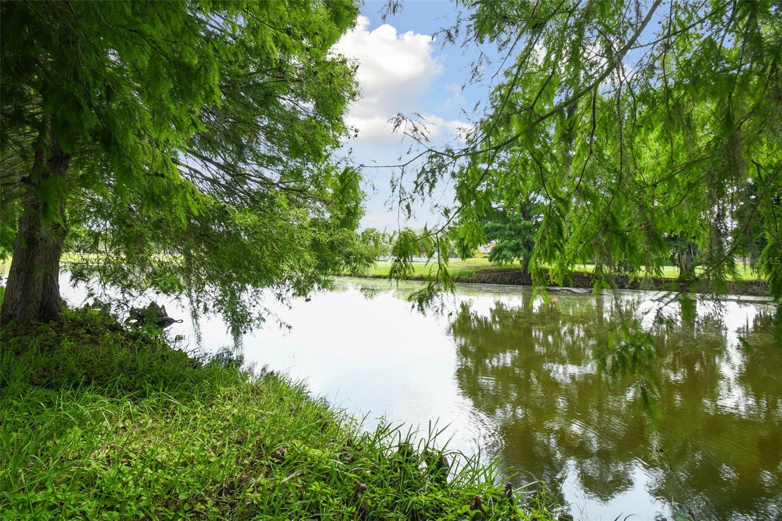 Image 60 of 65 For 19426 Sandy Springs Circle