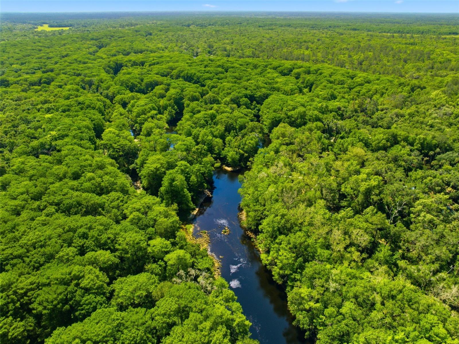 Image 37 of 63 For 6339 River Road