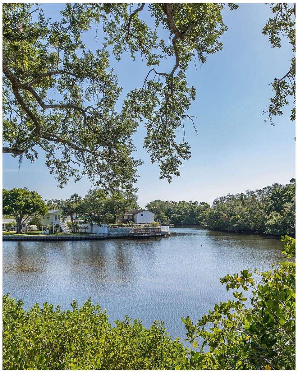 Image 39 of 43 For 9001 Tudor Drive H210