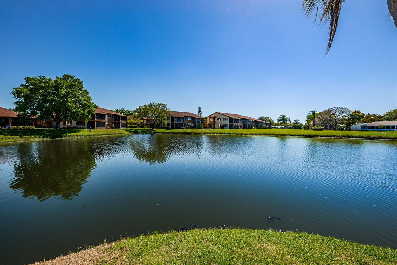 Image 48 of 77 For 3815 Penrick Drive 0