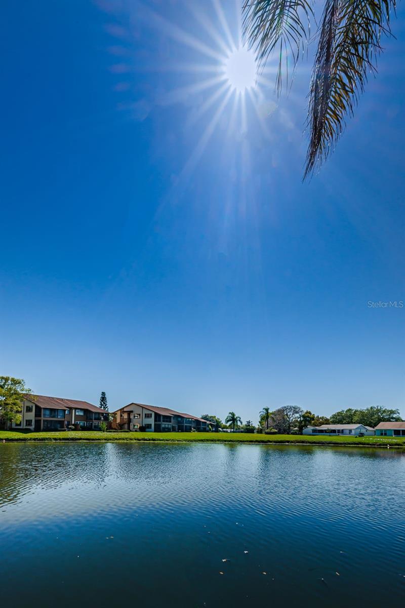 Image 50 of 77 For 3815 Penrick Drive 0