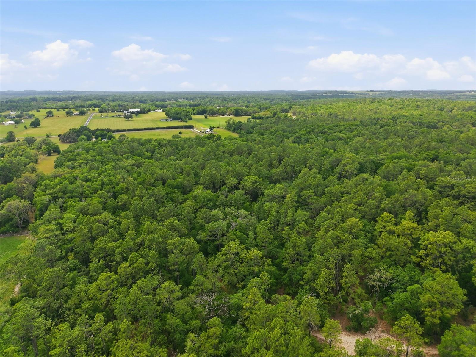 Image 5 of 14 For Cortez Boulevard