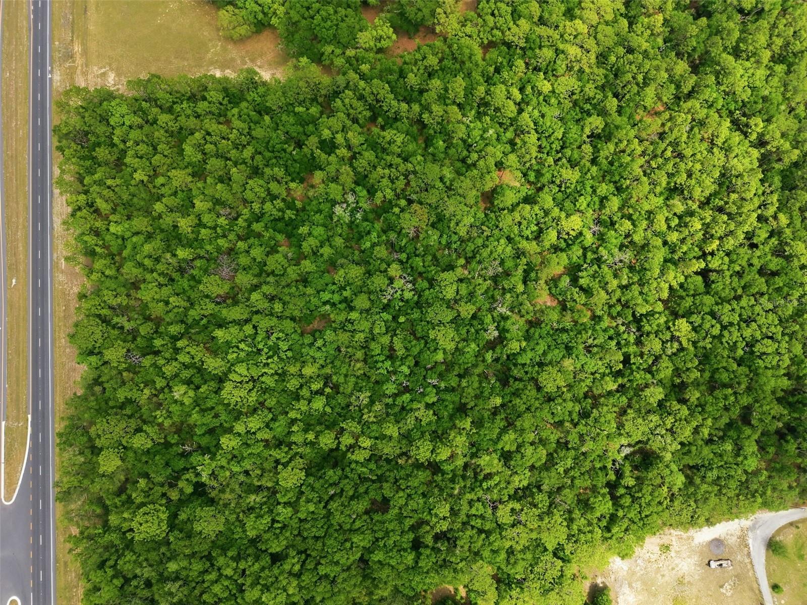 Image 6 of 14 For Cortez Boulevard