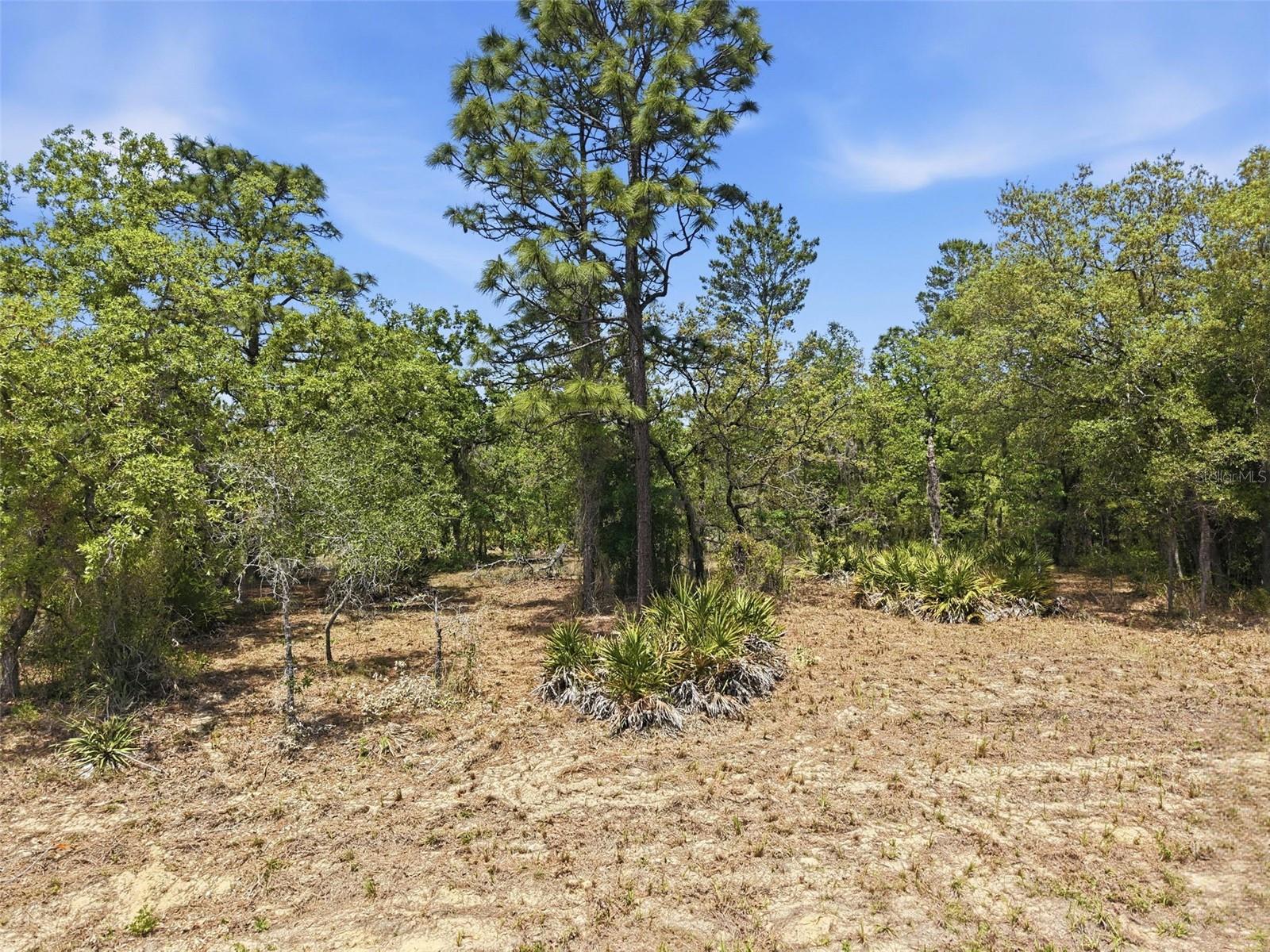 Image 11 of 21 For Lot 10 Cagarro Road