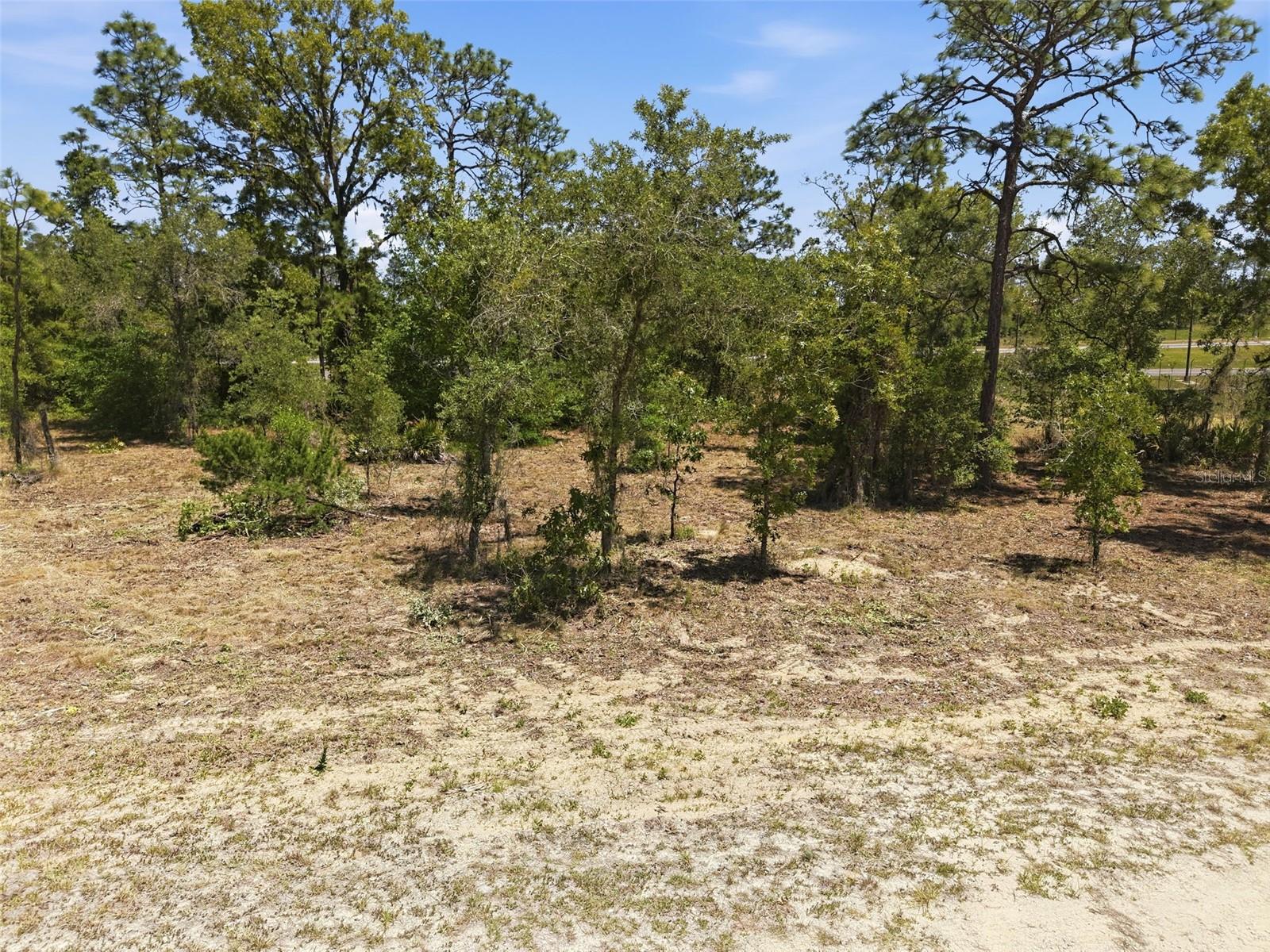 Image 3 of 21 For Lot 10 Cagarro Road