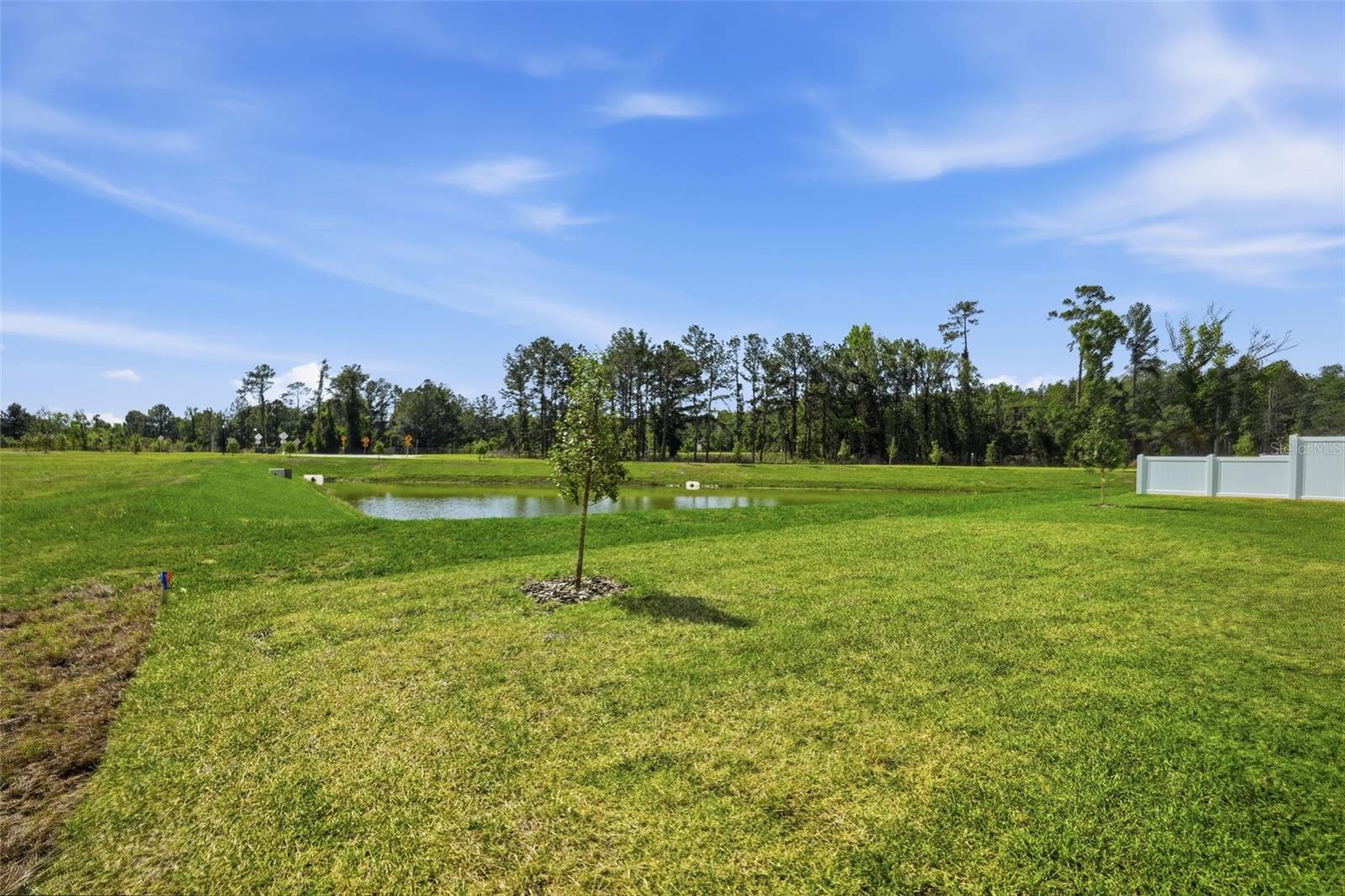 Image 2 of 80 For 7491 Mia Vine Drive