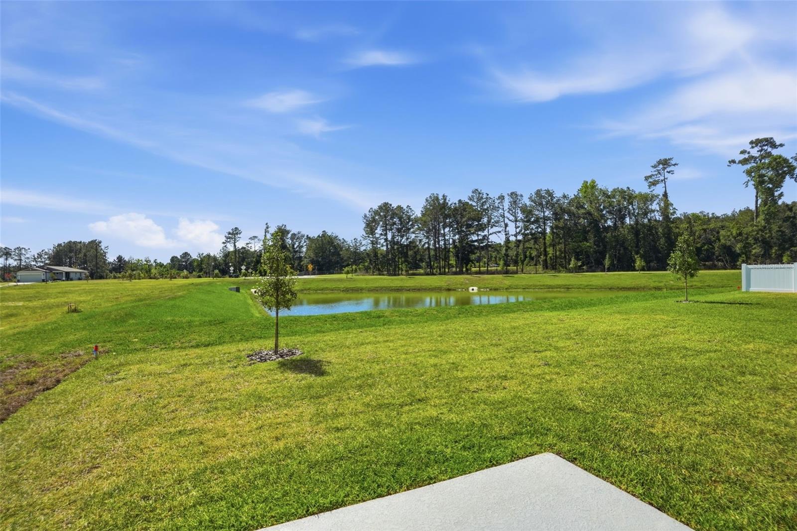 Image 50 of 80 For 7491 Mia Vine Drive