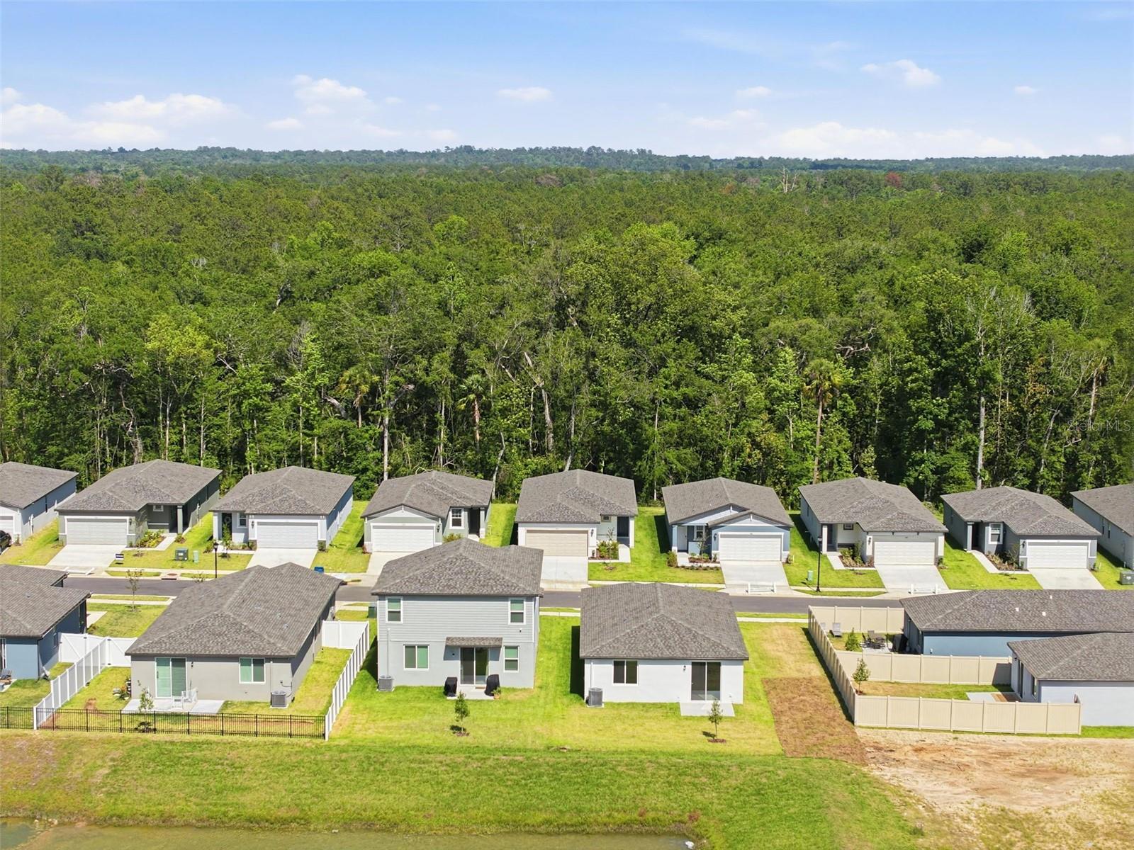 Image 70 of 80 For 7491 Mia Vine Drive