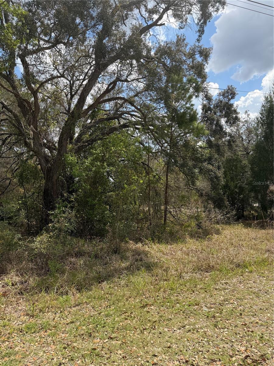 Image 4 of 9 For 0 Bastian Court